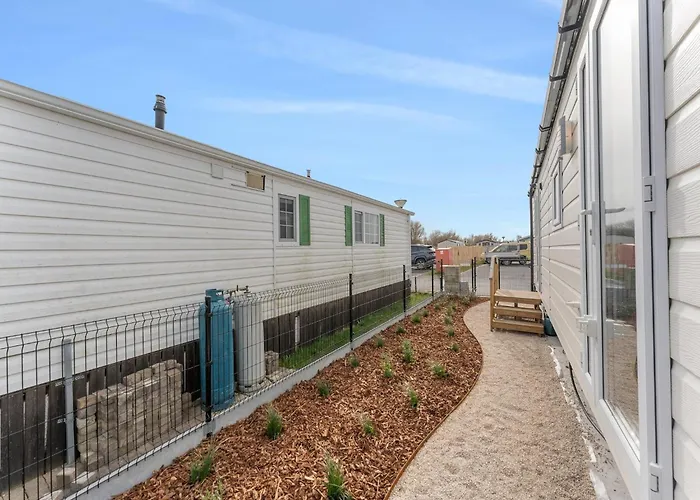 In With Terrace دي هان